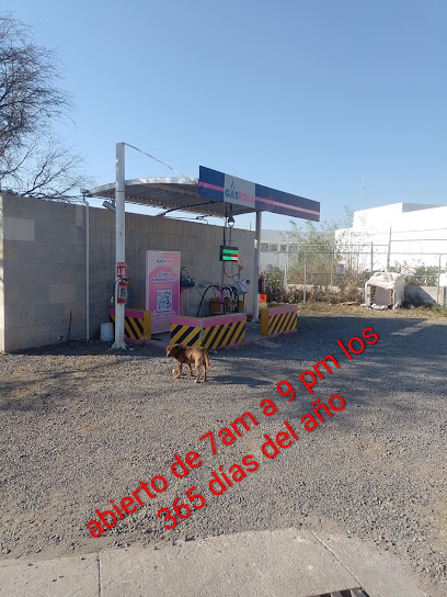 Imagen de la estación Gas Noel