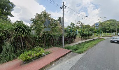 Imagen de la estación Damigas