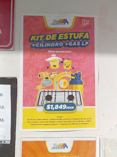 Imagen de la estación Gas Tomza Ec Puerto Morelos