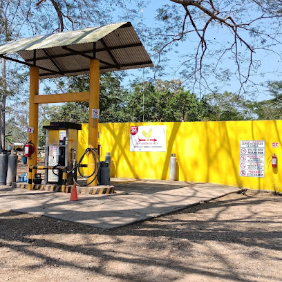 Imagen de la estación Gas el Gallito
