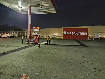 Imagen de la estación Gas Sultana