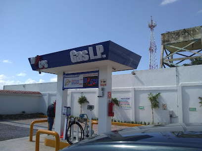 Imagen de la estación Estaciones de Servicio Lo Gas