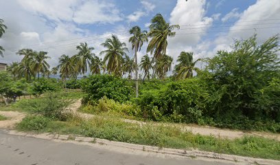 Imagen de la estación Servicio de Gas LP San Jose