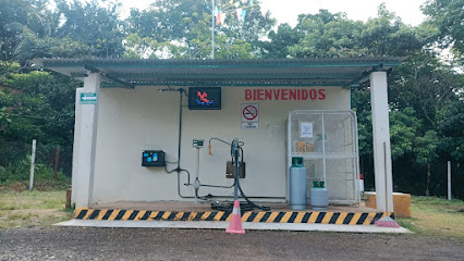 Imagen de la estación Estacion de Gas San Pedro