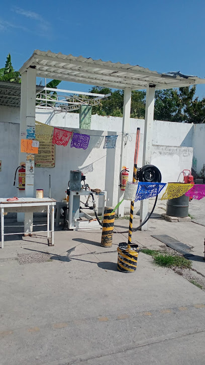 Imagen de la estación De Amilcingo