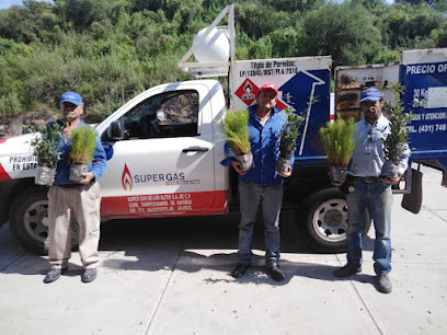 Imagen de la estación Súper Gas de los Altos