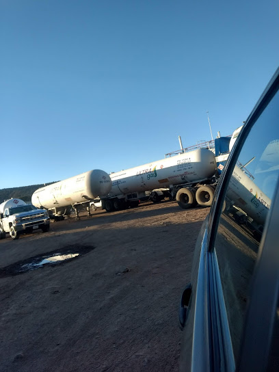 Imagen de la estación Gas del Valle de Tollocan