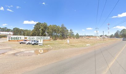 Imagen de la estación Regio Gas Lerdo
