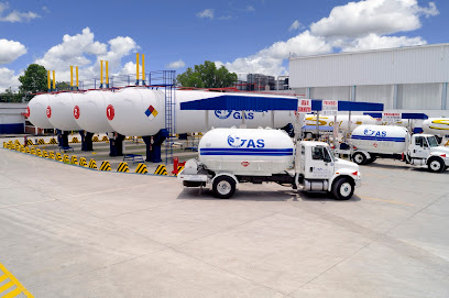 Imagen de la estación Garza Gas