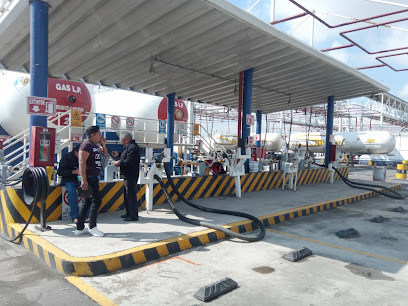Imagen de la estación Garza Sur