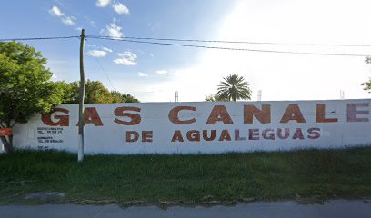 Imagen de la estación Vicente Canales Garza