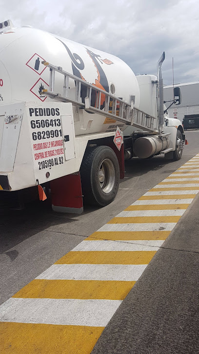 Imagen de la estación Gas Uribe de Puebla