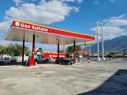 Imagen de la estación Gas Sultana
