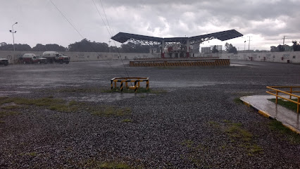 Imagen de la estación Gas Tomza de Puebla