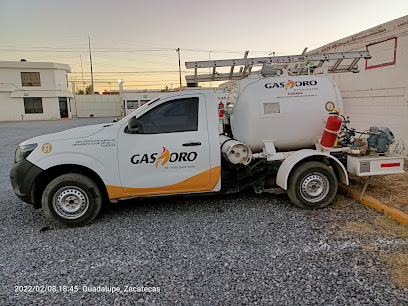 Imagen de la estación Gas Oro de Zacatecas