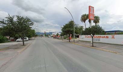 Imagen de la estación Gas Licuado de Sabinas