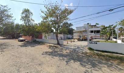 Imagen de la estación Combustibles y Gases de Tampico