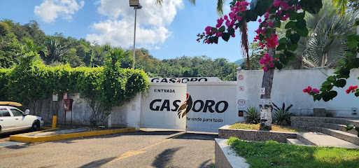 Imagen de la estación Gas Oro de Colima