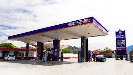 Imagen de la estación Gas Paladin