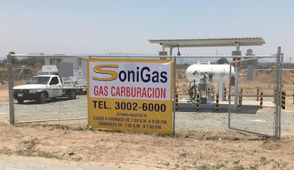 Imagen de la estación Sonigas