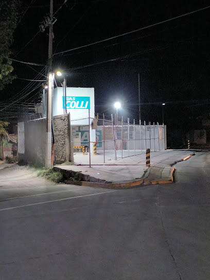 Imagen de la estación Zapopan Gas